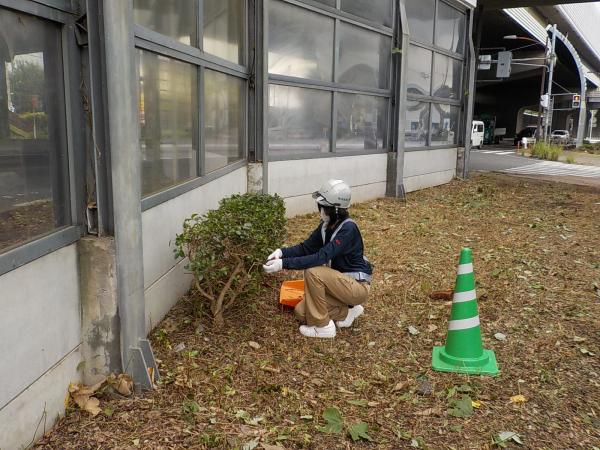▲いずみ高校(さいたま市)からの受入れ<br>