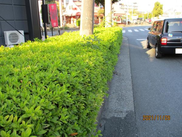 *すっきりとした印象に<br>