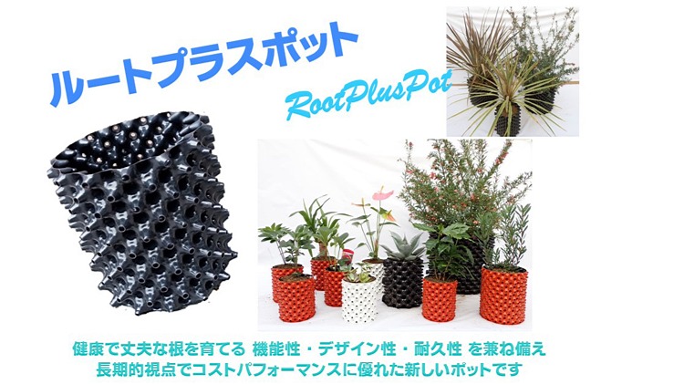 ルートプラスポット｜RootPlusPot | パークイベントやパーク内テナント